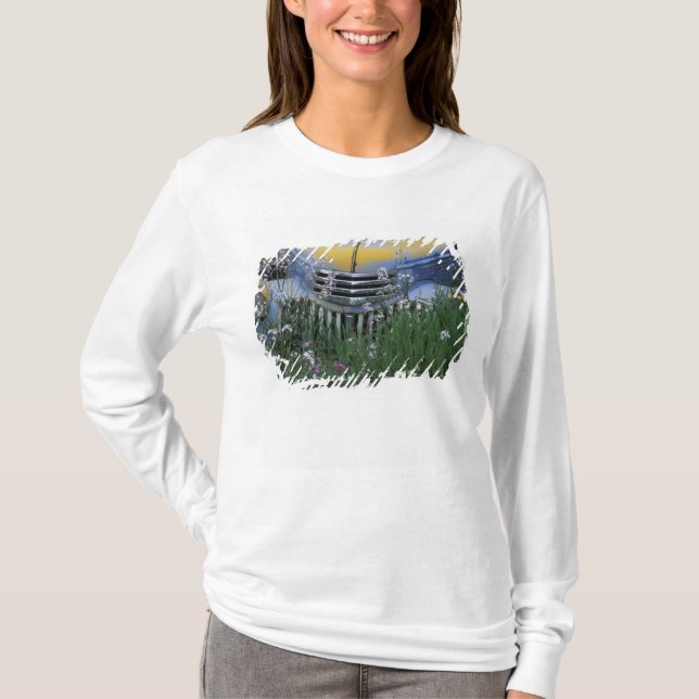 NA, USA, eastern Washington, Old truck with T-Shirt (Front)