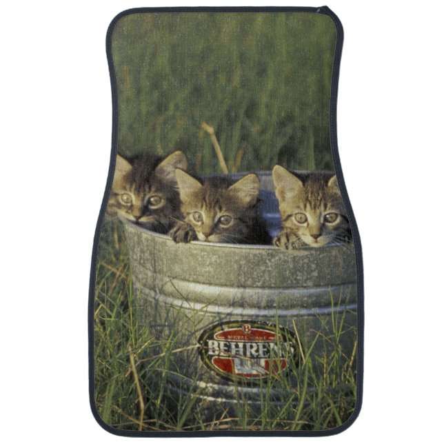 NA, USA, Florida, rural Florida. Eight-week-old Car Floor Mat (Front)