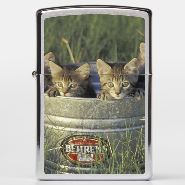 NA, USA, Florida, rural Florida. Eight-week-old Zippo Lighter (Front)
