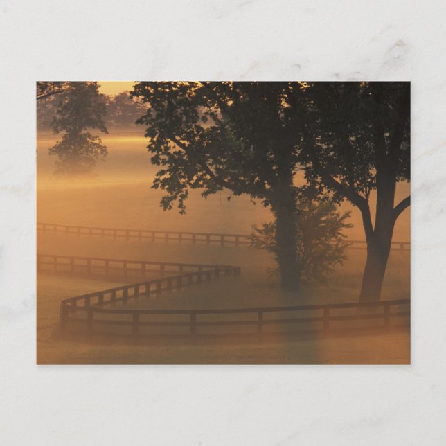 NA, USA, Kentucky. Foggy sunrise on Kentucky Postcard (Front)