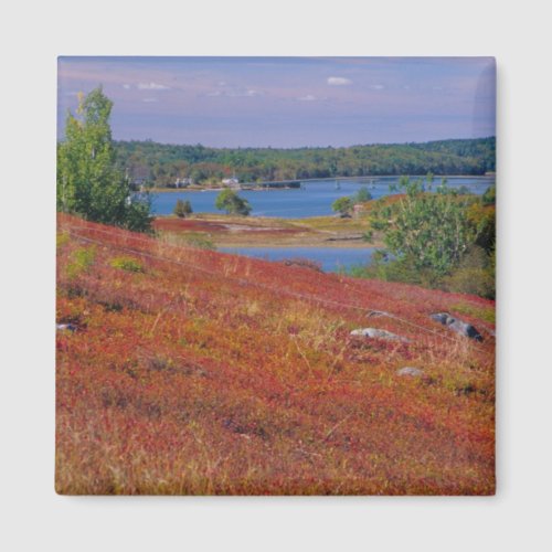 NA USA Maine Blueberry Barrens Magnet