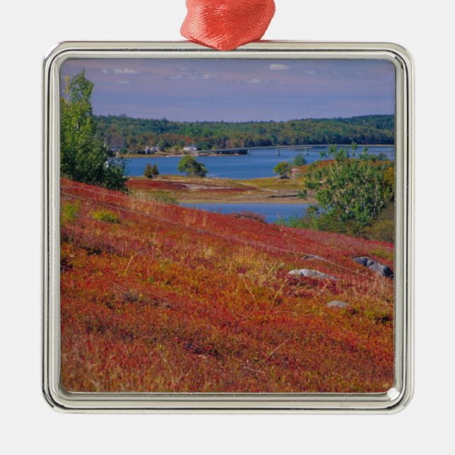 NA, USA, Maine. Blueberry Barrens. Metal Ornament (Front)