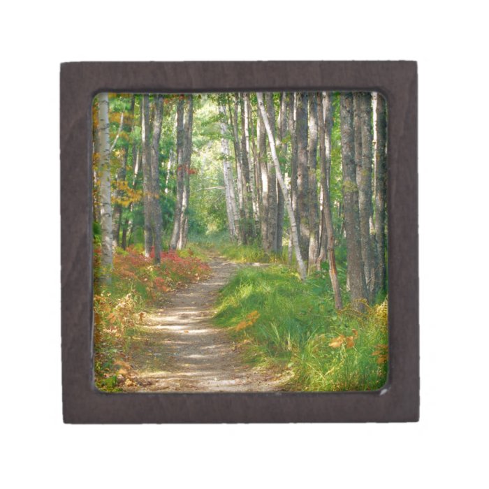 NA, USA, Maine.  Jessup trail in Acadia National Premium Keepsake Box