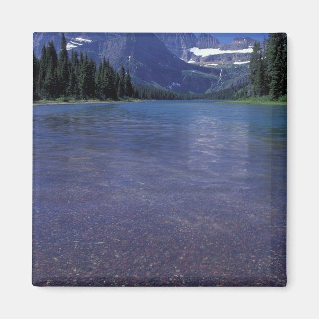 NA, USA, Montana, Glacier National PArk. Magnet (Front)