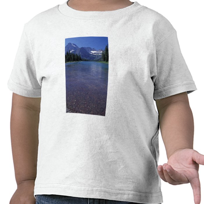 NA, USA, Montana, Glacier National PArk. T Shirts