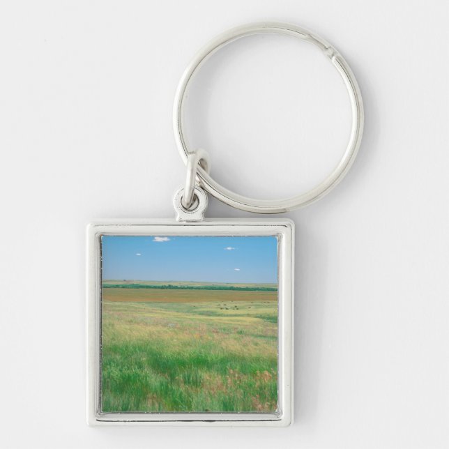 NA, USA, NE. Grasslands near Ogallala with Keychain (Front)