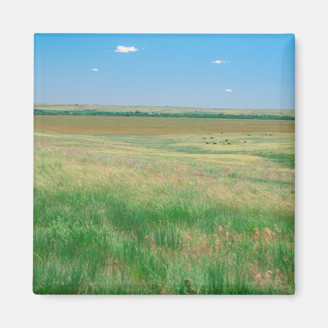 NA, USA, NE. Grasslands near Ogallala with Magnet (Front)