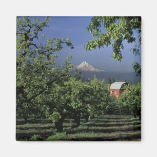 NA, USA, Oregon, near Hood River Mt. Hood with Magnet