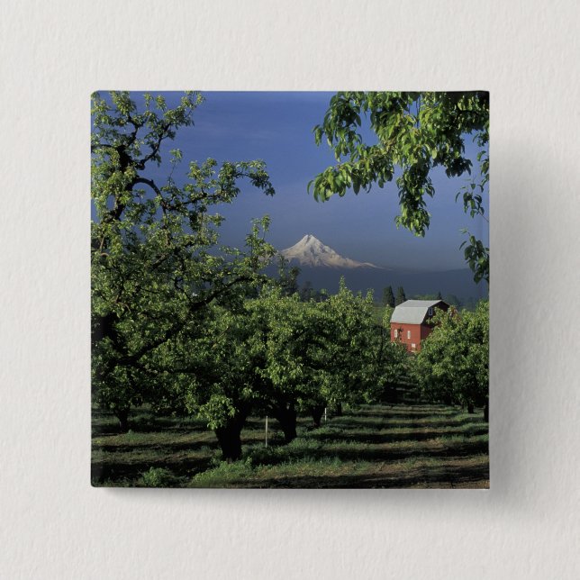 NA, USA, Oregon, near Hood River Mt. Hood with Pinback Button (Front)