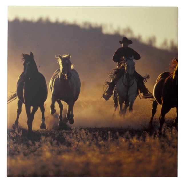 NA, USA, Oregon, Seneca, Ponderosa Ranch, Cowboy 2 Ceramic Tile (Front)