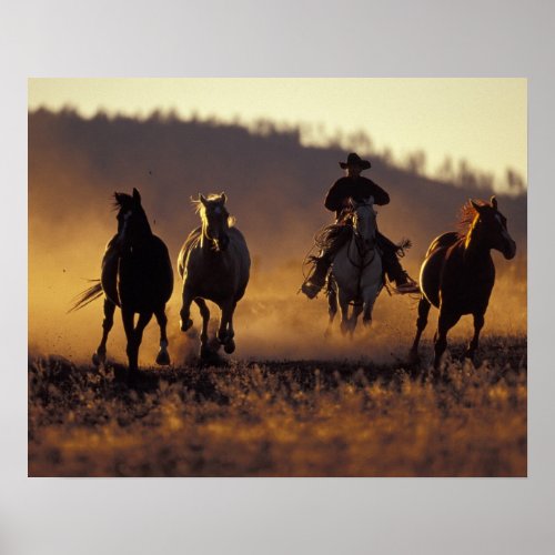 NA USA Oregon Seneca Ponderosa Ranch Cowboy 2 Poster