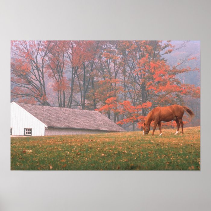 NA, USA, PA, Valley Forge. Horse grazing in a Posters