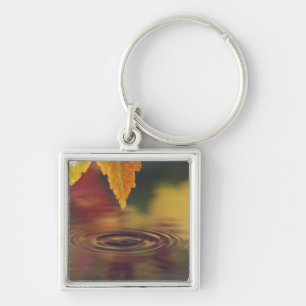 NA, USA, Pacific Northwest Keychain