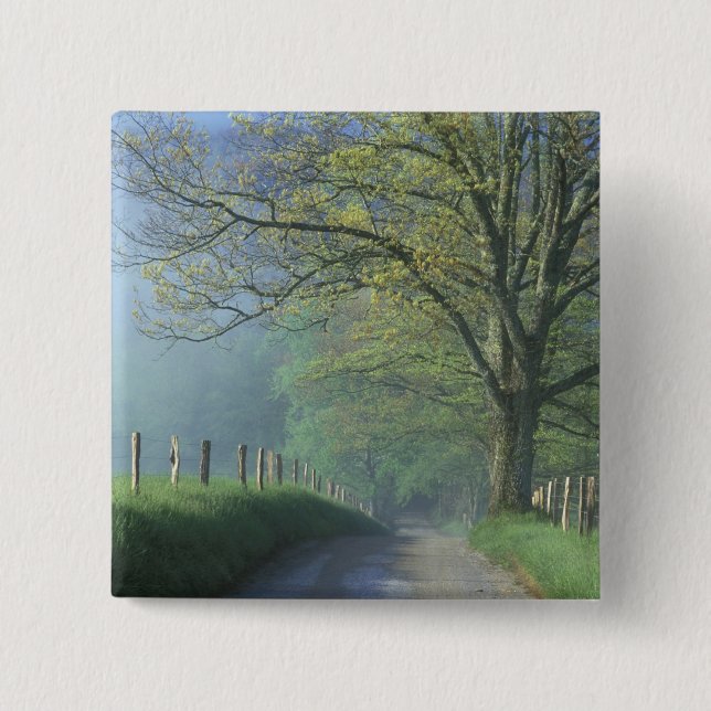 NA, USA, Tennessee, Cades Cove, Great Smoky Button (Front)
