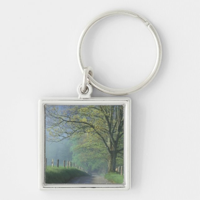 NA, USA, Tennessee, Cades Cove, Great Smoky Keychain (Front)
