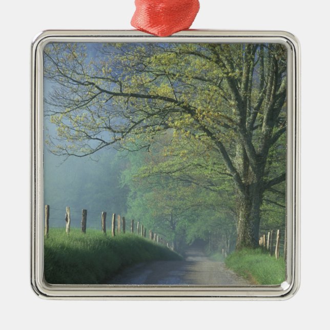 NA, USA, Tennessee, Cades Cove, Great Smoky Metal Ornament (Front)