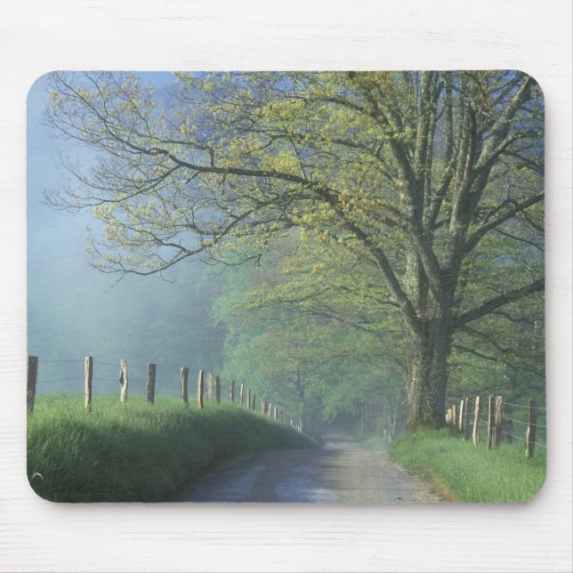 NA, USA, Tennessee, Cades Cove, Great Smoky Mouse Pad (Front)