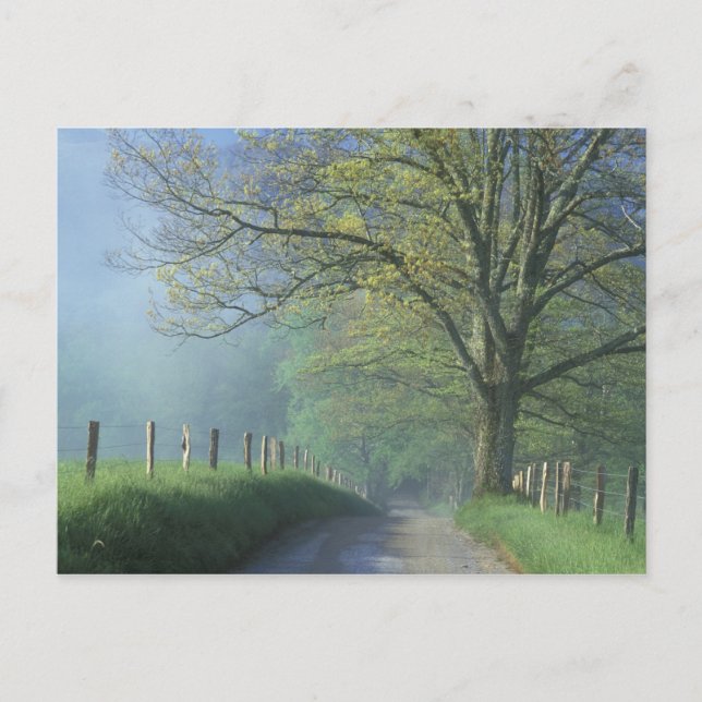 NA, USA, Tennessee, Cades Cove, Great Smoky Postcard (Front)