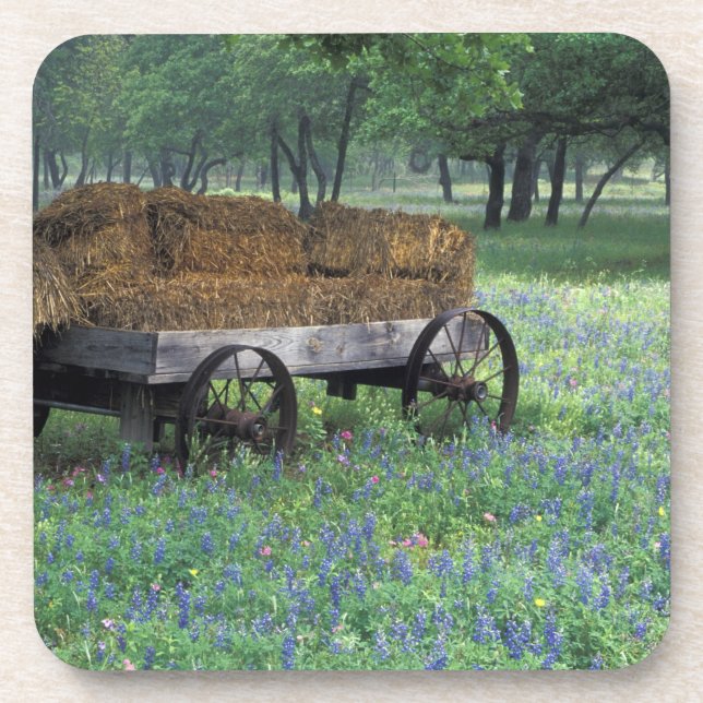 NA, USA, Texas, east of Devine, Old wagon in Drink Coaster (Front)