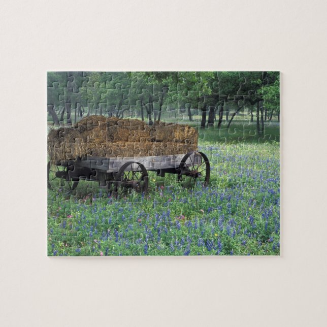 NA, USA, Texas, east of Devine, Old wagon in Jigsaw Puzzle (Horizontal)