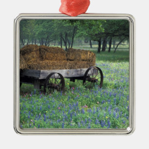 NA, USA, Texas, east of Devine, Old wagon in Metal Ornament