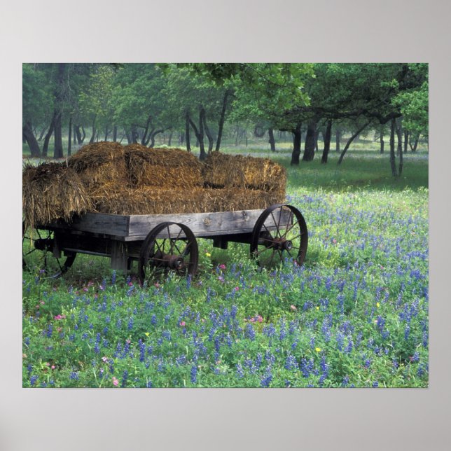 NA, USA, Texas, east of Devine, Old wagon in Poster (Front)
