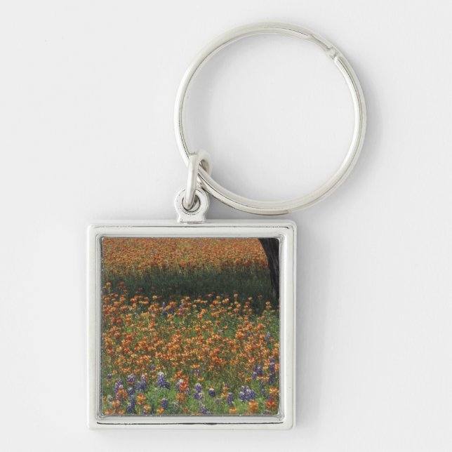 NA, USA, Texas, Hill Country, Paint brush and Keychain (Front)