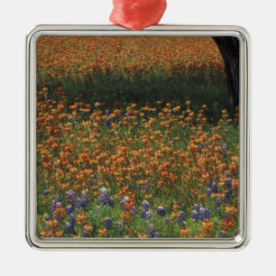 NA, USA, Texas, Hill Country, Paint brush and Metal Ornament