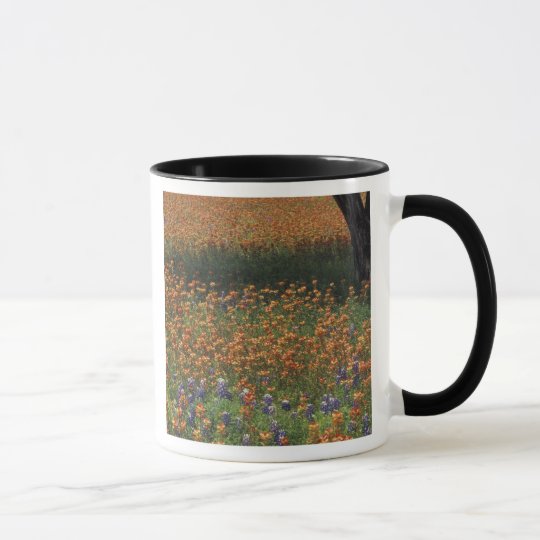 NA, USA, Texas, Hill Country, Paint brush and Mug