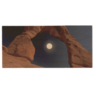 NA, USA, Utah, Arches National Park. Delicate Wood Flash Drive