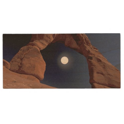 NA USA Utah Arches National Park Delicate Wood Flash Drive