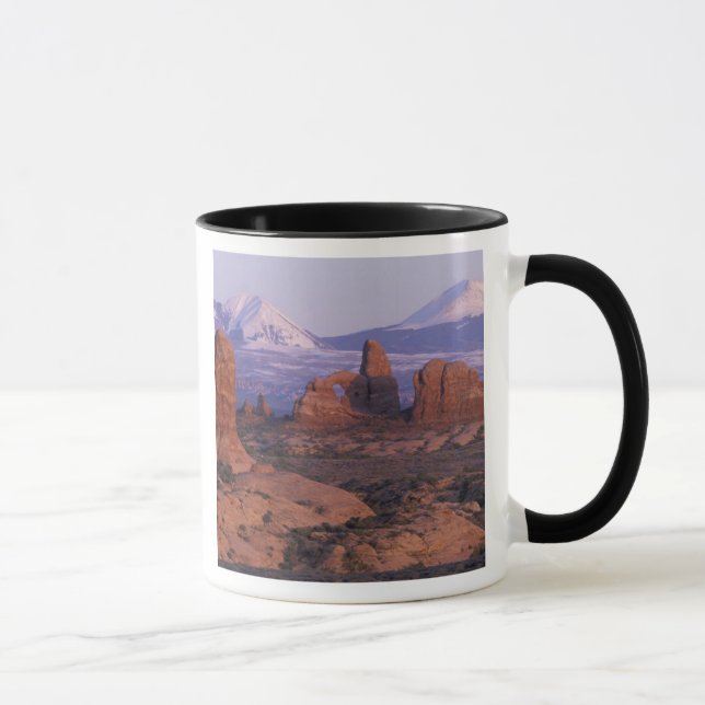 NA, USA, Utah, Arches National Park. Garden of Mug (Right)