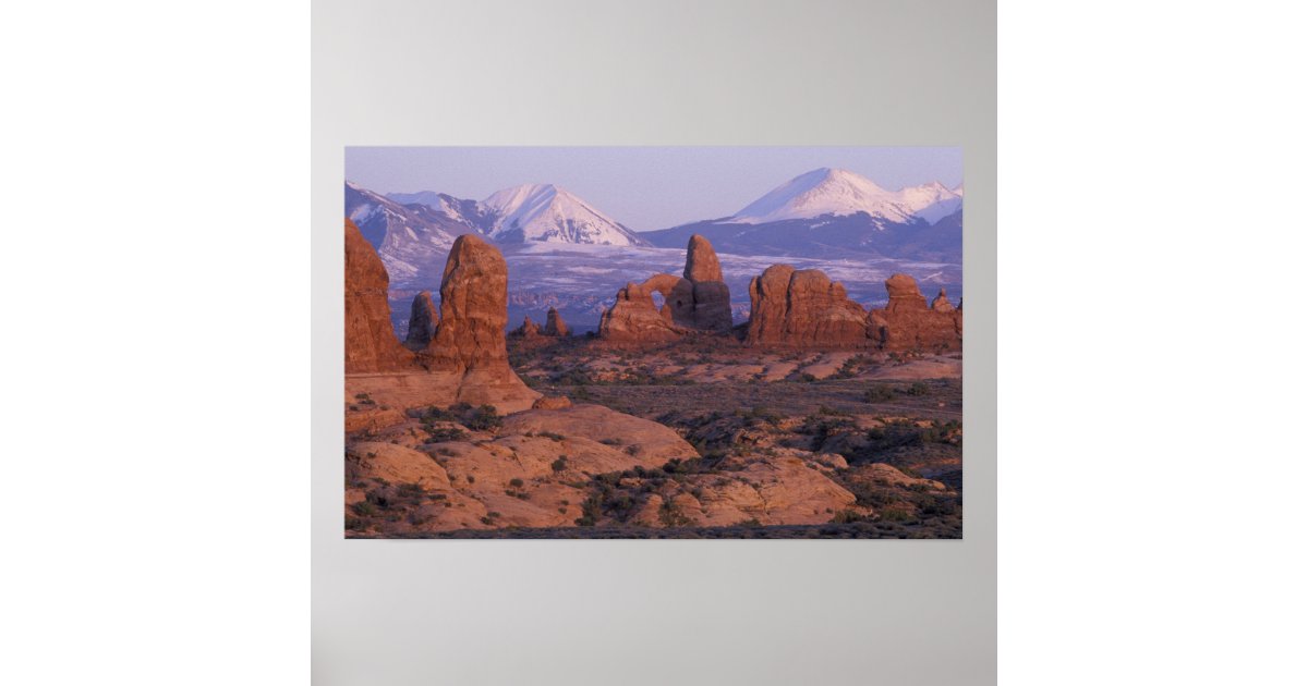 NA, USA, Utah, Arches National Park. Garden of Poster | Zazzle