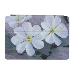 NA, USA, Utah, Arches NP, Evening primrose iPad Mini Cover