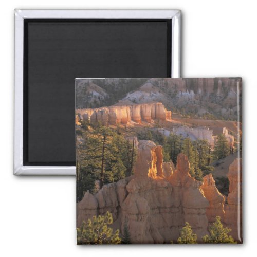 NA USA Utah Bryce Canyon NP 2 Magnet