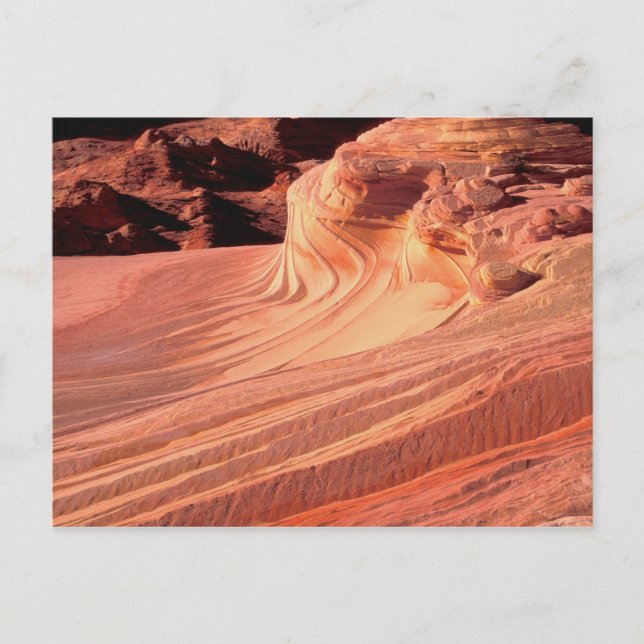 NA, USA, Utah, Vermillion Cliffs. Coyote Butte Postcard (Front)