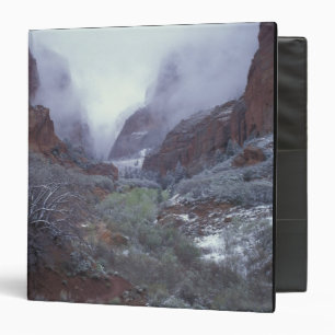 NA, USA, Utah, Zion NP, Spring snow storm, Binder