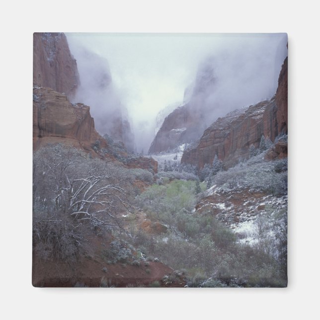 NA, USA, Utah, Zion NP, Spring snow storm, Magnet (Front)