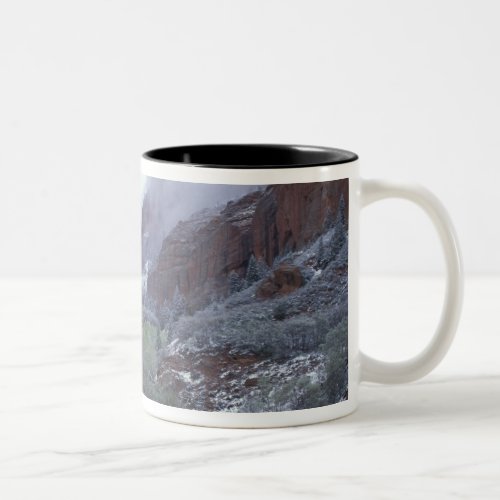 NA USA Utah Zion NP Spring snow storm Two_Tone Coffee Mug