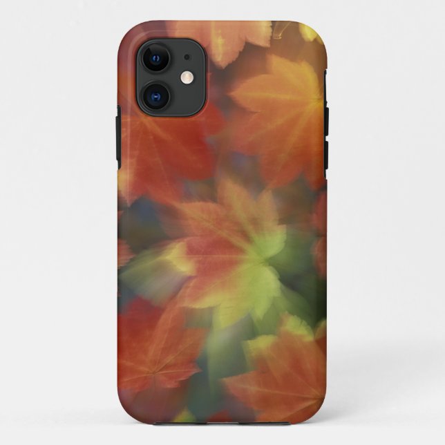 NA, USA, Washington, Issaquah, Vine maple Case-Mate iPhone Case (Back)