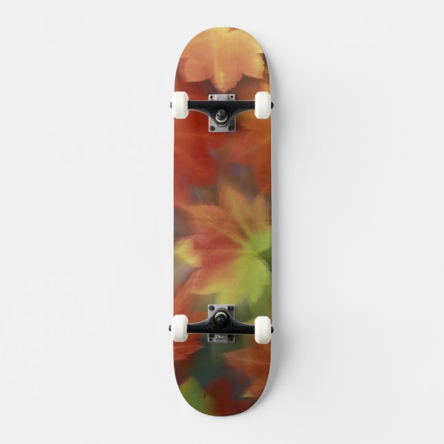 NA, USA, Washington, Issaquah, Vine maple Skateboard Deck (Front)