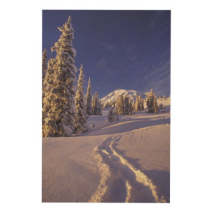 NA, USA, Washington, Mt. Rainier NP, Snowshoe Wood Wall Decor