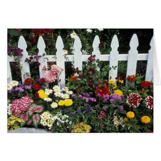 NA, USA, Washington, Sammamish, White picket (Front Horizontal)