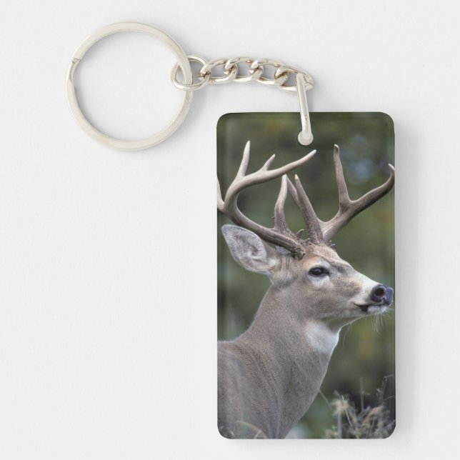NA, USA, Washington State, White-tailed deer, Keychain (Front)