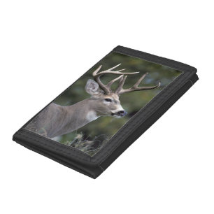 NA, USA, Washington State, White-tailed deer, Tri-fold Wallet