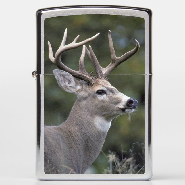 NA, USA, Washington State, White-tailed deer, Zippo Lighter (Front)
