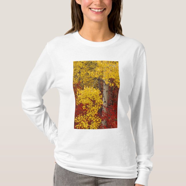 NA, USA, Washington, Wenatchee National Forest. T-Shirt (Front)