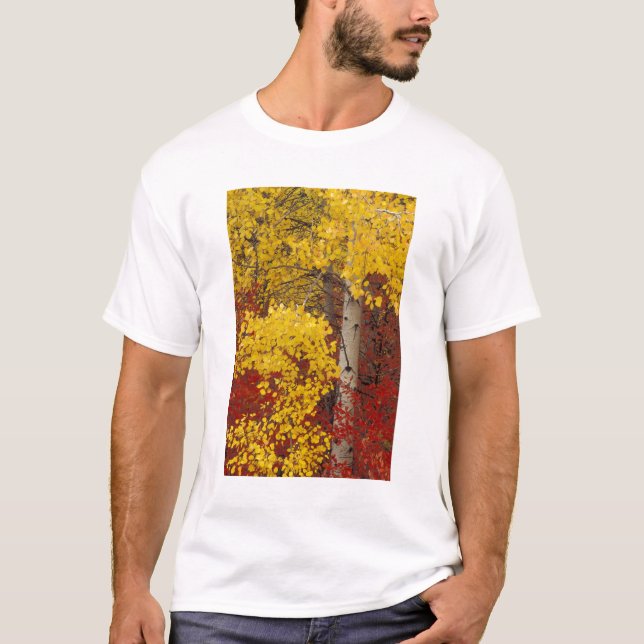 NA, USA, Washington, Wenatchee National Forest. T-Shirt (Front)