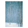 NA, USA, WY. Snowy winter scene among Photo Print