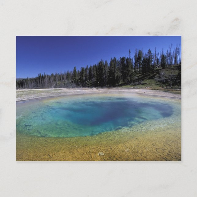NA, USA, Wyoming, Yellowstone National Park. 2 Postcard (Front)